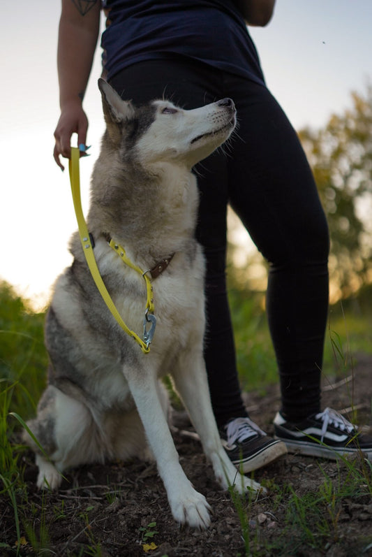 MILINJAS Duo Halsband