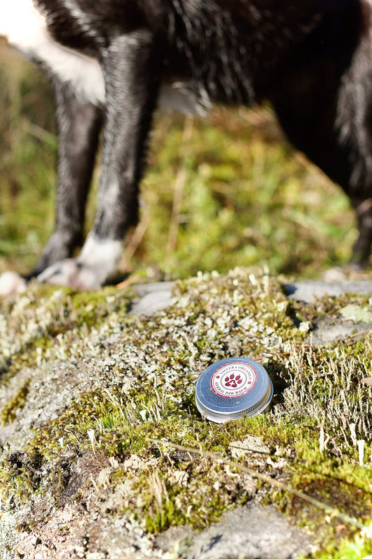 Salvera Tassalva 30 ml