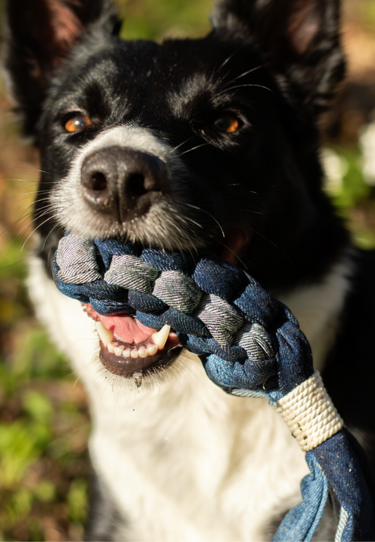 Jeanskomet från Mini&Bror