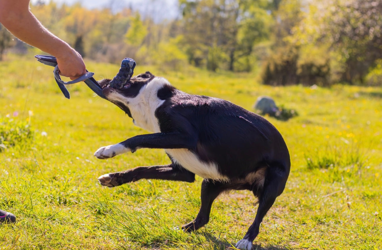 Jeans jacket from Mini&Bror