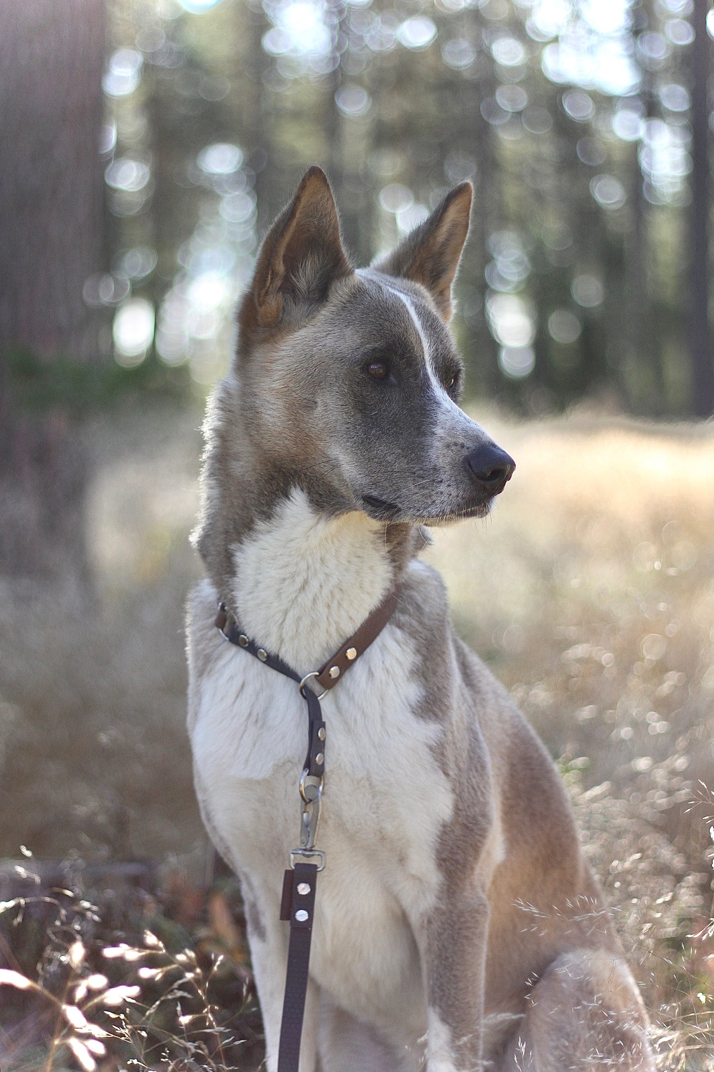 MILINJAS Duo Halsband