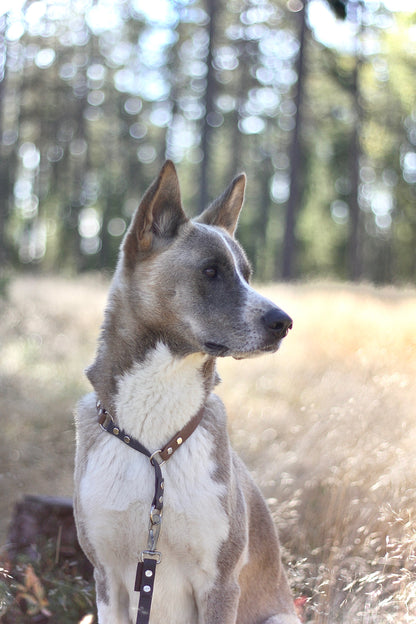 MILINJAS Duo Halsband