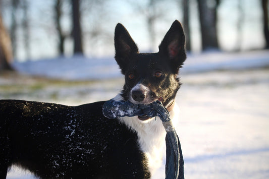 Jeanskomet från Mini&Bror