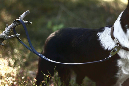 MILINJAS Stadskoppel 50 cm