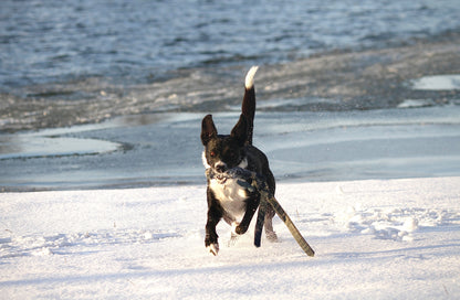 Jeanskomet från Mini&Bror