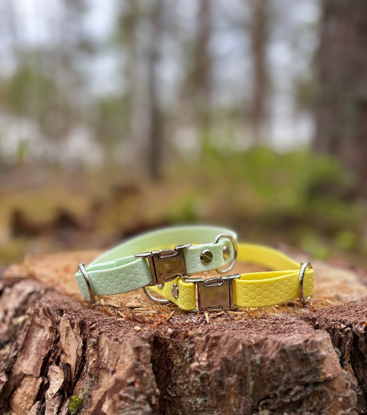 MILINJAS Halsband med spänne