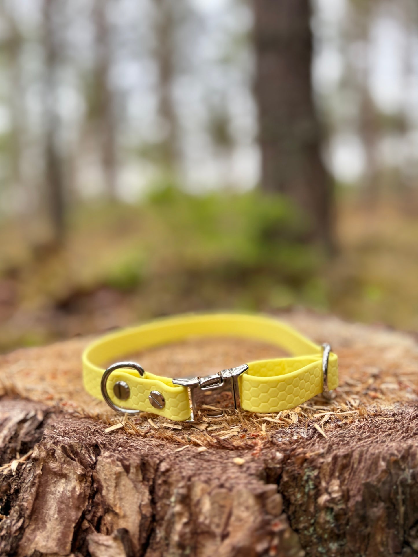 MILINJAS Halsband med spänne