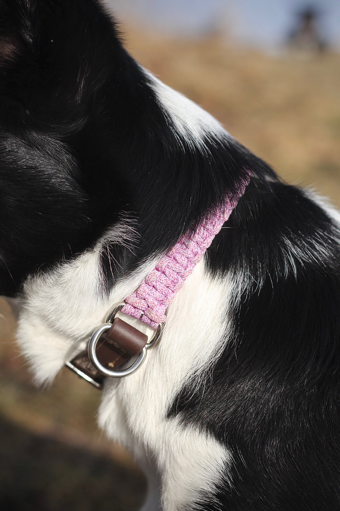 MILINJAS Sigi Halsband