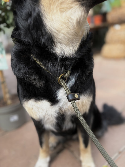 MILINJAS Retrieverkoppel 90 x 0,8 cm